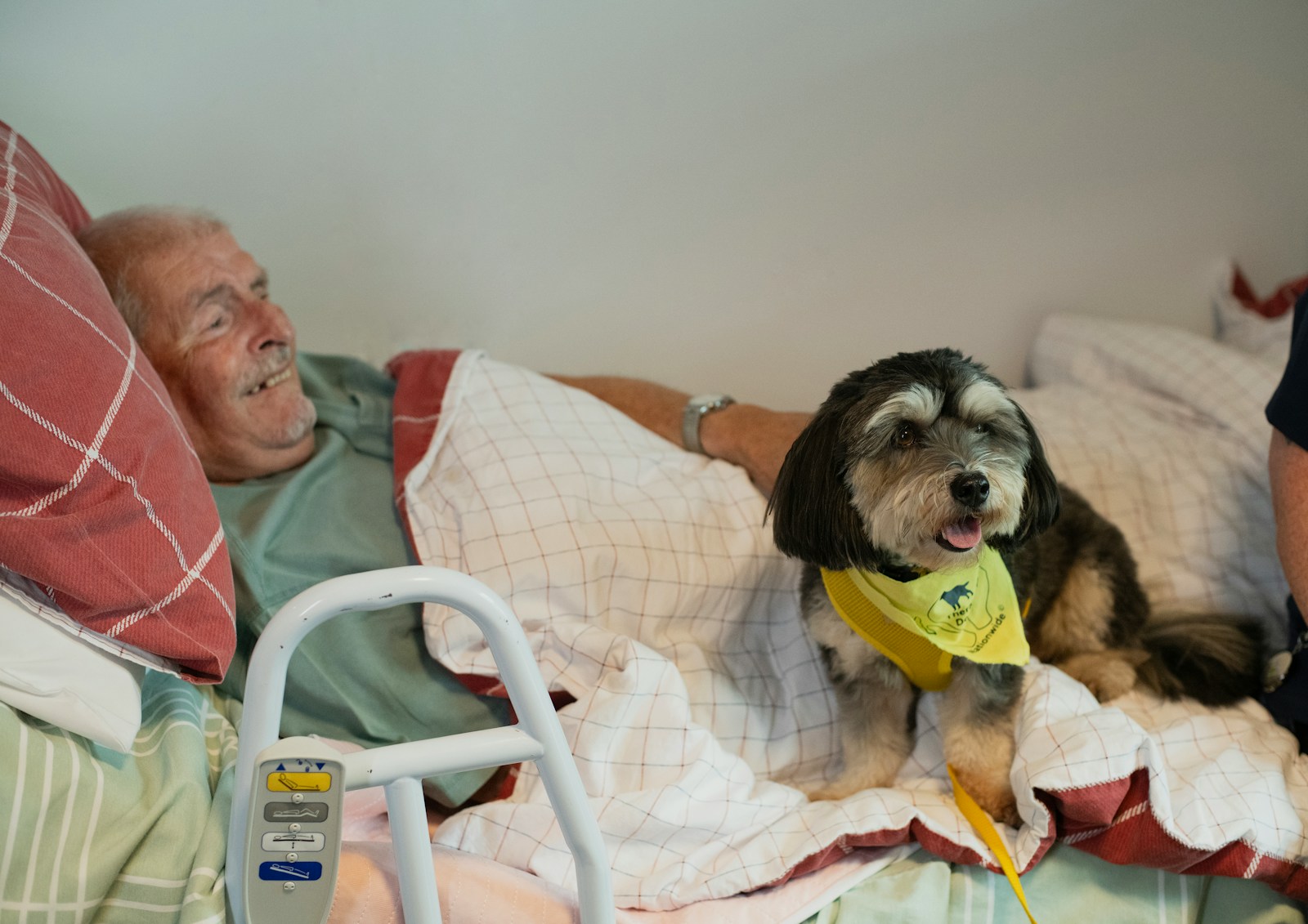 A patient resting with a dog nearby